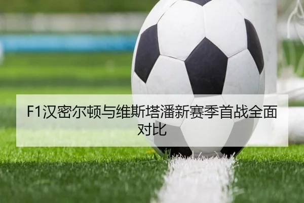 F1汉密尔顿与维斯塔潘新赛季首战全面对比